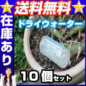 ドライウォーター10個セット  水やり 置くだけ 便利｜trendst