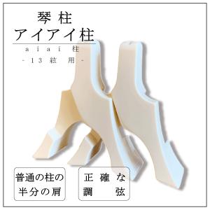 17絃用 箏柱入れ(箏柱ケース/琴柱ケース) ハードケース 黒色 : TPmusic