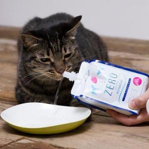 ペット 水素水 330ml 10本 猫 犬 水...の詳細画像2