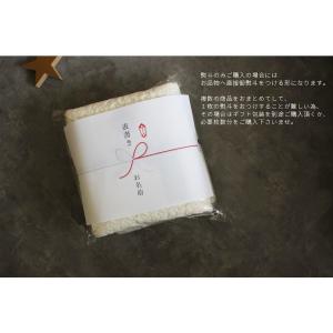 TRICK HOLIC 熨斗のみの販売です。※...の詳細画像2