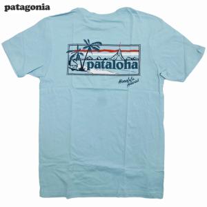 patagonia パタゴニア 限定organic ccotton Tee