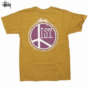 Stussy Peace Dot Pigment Dyed Tee ステューシー ピグメント加工 ピ...