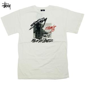 STUSSY（ステューシー） Stussy Post Modern Roots Pig Dyed Tee