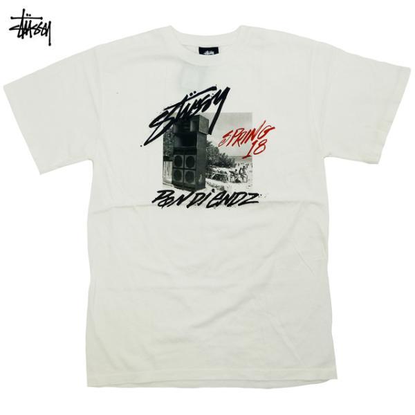 Stussy Pon Di Endz Pig Dyed Tee ピグメント加工 ステューシー フォト...