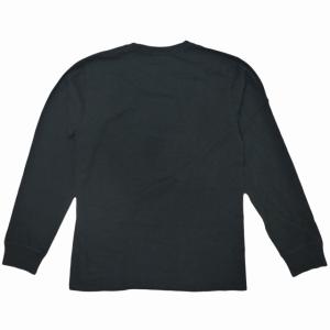 Stussy S Wreath Pig Dye...の詳細画像2