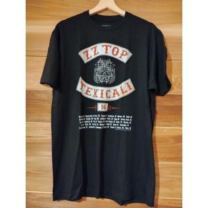 ZZ TOP EST 1969 ジージートップTシャツ ヘザーグレー : TRICOLOR