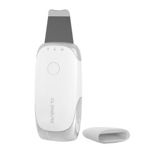 CLENSURE クレンシュア 美顔器 プロフェッショナルピ...