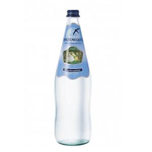 Sanbenedetto サンベネデット スパークリングウォーター グラスボトル 1000ml×12本