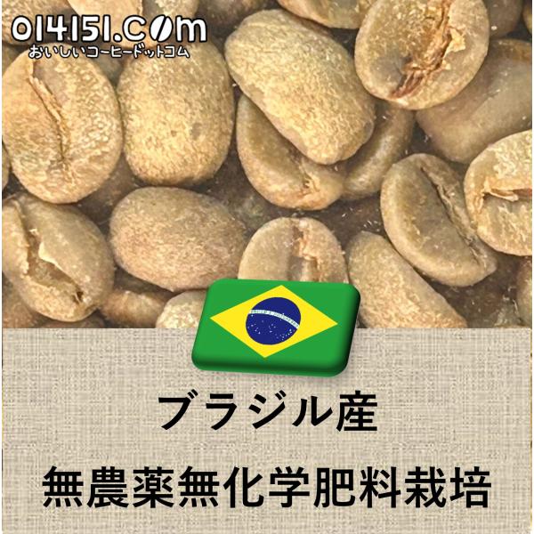 コーヒー生豆 ブラジル産 無農薬無化学肥料栽培 サクアレマ 未焙煎 生豆 2lbs 907g 014...