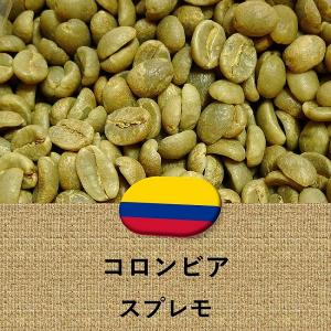 自家焙煎入門セット ブラジルNo.2#18