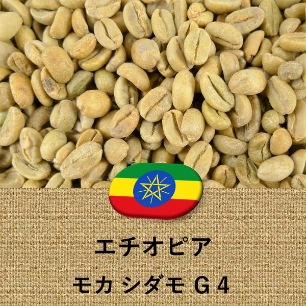 コーヒー生豆 エチオピア産 モカ シダモG4 未焙煎 100g コーヒー豆 生豆  014151.c...