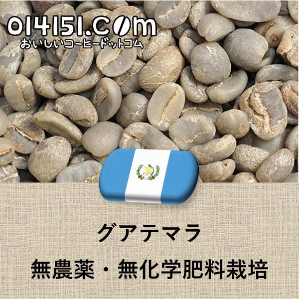 コーヒー生豆 グアテマラ産 無農薬無化学肥料栽培 アティトラン 未焙煎 生豆 100g 014151...