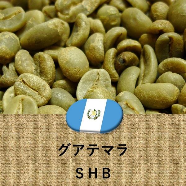 コーヒー豆 グアテマラ産 SHB 未焙煎 生豆 10kg ガテマラ グァテマラ