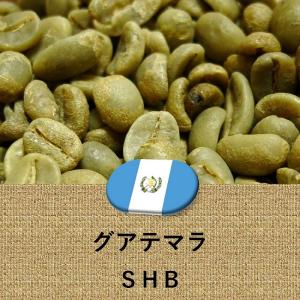 リベリカコーヒー100g リベリカコーヒー100g
