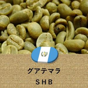 コーヒー豆 グアテマラ産 SHB 未焙煎 生豆 2lbs 907g ガテマラ グァテマラ プレゼント ギフト｜trideacoltd