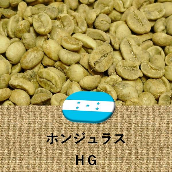 コーヒー豆 ホンジュラス産 HG 未焙煎 生豆 ホンデュラス 2lbs 907g プレゼント ギフト