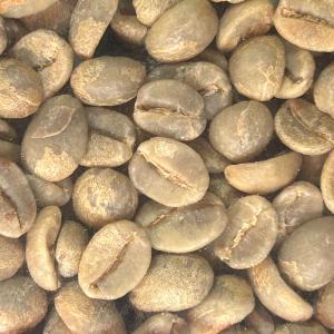 コーヒー生豆 メキシコ産 無農薬無化学肥料栽培...の詳細画像1