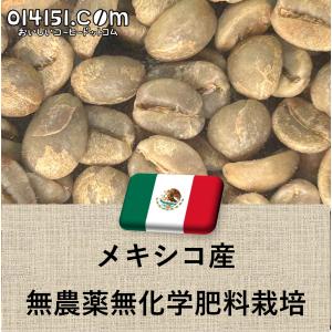 コーヒー生豆 メキシコ産 無農薬無化学肥料栽培 SHG チアパス Qグレード 未焙煎 生豆 4536g 10lbs 4.5kg 014151.com 爆買