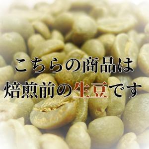 コーヒー生豆 メキシコ産 無農薬無化学肥料栽培...の詳細画像2