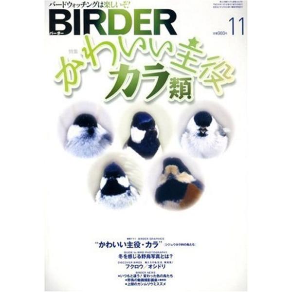 BIRDER (バーダー) 2008年 11月号 雑誌