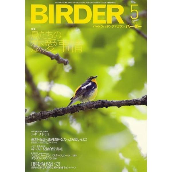 BIRDER (バーダー) 2007年 05月号 雑誌