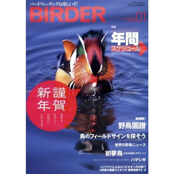 BIRDER (バーダー) 2009年 01月号 雑誌