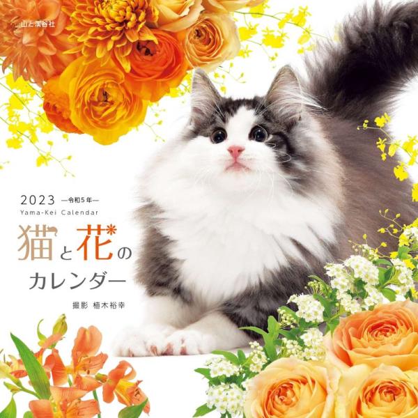 カレンダー2023 猫と花のカレンダー (月めくり/壁掛け) (ヤマケイカレンダー2023)