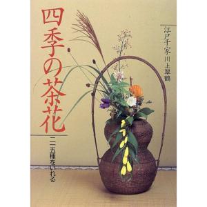 江戸千家 四季の茶花?二一五種をいれる｜trigger