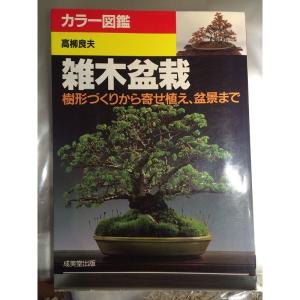 カラー図鑑 雑木盆栽?樹形づくりから寄せ植え、盆景まで｜trigger