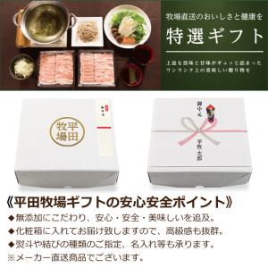 日本の米育ち三元豚調理済ハンバーグギフトCNS...の詳細画像1