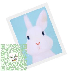 ウサギの絵の商品一覧 通販 Yahoo ショッピング