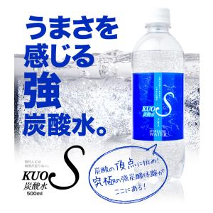 強炭酸水 クオス 500ml×24本 選べる ...の詳細画像1