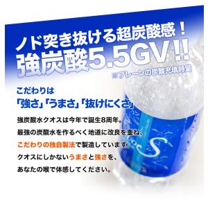 強炭酸水 クオス 500ml×24本 選べる ...の詳細画像3
