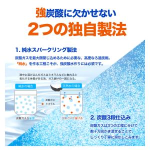 強炭酸水 クオス 500ml×24本 選べる ...の詳細画像4