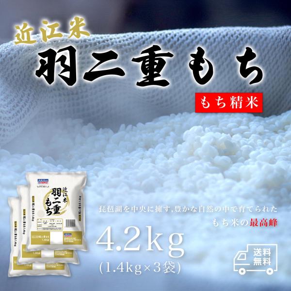 餅米 もち米 もちごめ 4.2kg パールライス 近江米 滋賀羽二重餅 羽二重もち もち米 4.2キ...