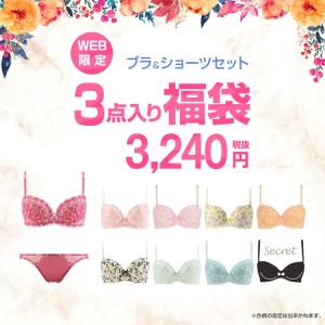 福袋(アモスタイル)AMO'S STYLE ブラ&ショーツセ...