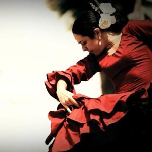 フラメンコ 踊り子 バイラオーラ オブジェ ス...の詳細画像4