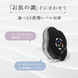 フェイスベルト ems 美顔器 anlan 表...の詳細画像5