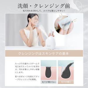 フェイススチーマー 美顔器 スチーマー anl...の詳細画像5