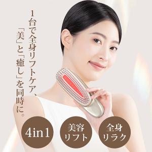 カッサ 多機能 4種類ヘッド スカルプブラシ ...の詳細画像2