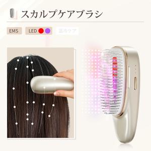カッサ 多機能 4種類ヘッド スカルプブラシ ...の詳細画像5
