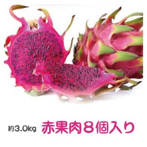 ベトナム産（赤果肉）ドラゴンフルーツ　(レッドピタヤ8個入り） 約2.5kg｜tropical-stream1