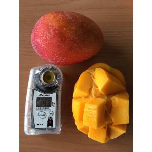 台湾産 アップルマンゴー 約5.0kg 大玉8...の詳細画像4
