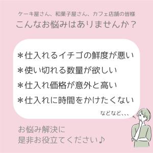 アメリカ産ストロベリー(いちご・苺)約4.0k...の詳細画像1