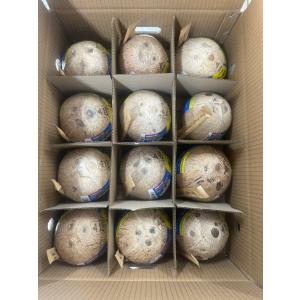 ベトナム産オールドココナッツ 約10.0kg ...の詳細画像2