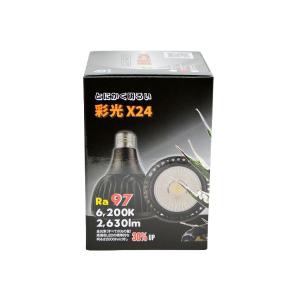 ピクタ TERRABAIT テラベイト 10g 水草などの栄養補給に : トロピカル