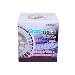 volxjapan（ボルクスジャパン） Grassy LeDio RX122
