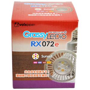 volxjapan（ボルクスジャパン） Grassy LeDio RX122