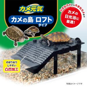 GEX カメ元気 カメの島ロフトタイプの詳細画像1