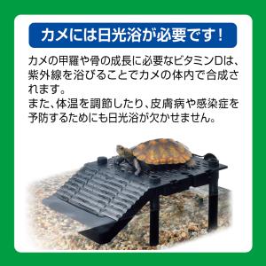 GEX カメ元気 カメの島ロフトタイプの詳細画像3